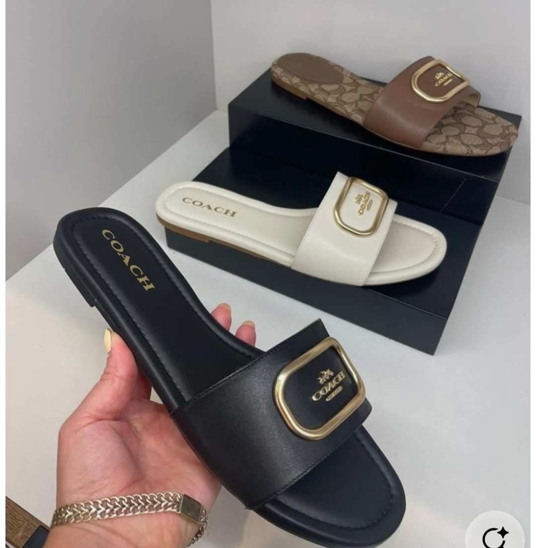 Best Price Coach Slides 